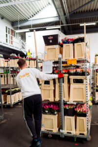 egészségbiztosítás