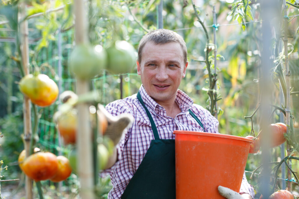 tuinbouw
